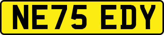 NE75EDY