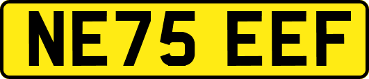 NE75EEF