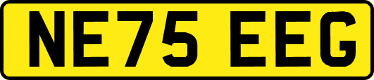 NE75EEG