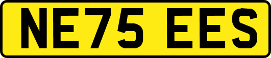 NE75EES