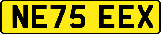 NE75EEX
