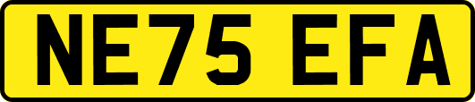 NE75EFA