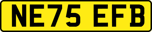 NE75EFB