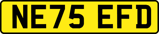 NE75EFD