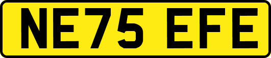 NE75EFE