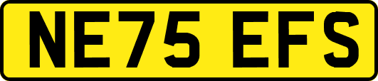 NE75EFS