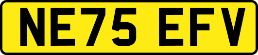 NE75EFV
