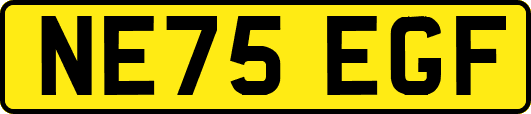 NE75EGF