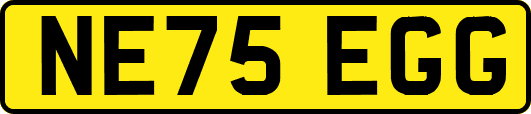 NE75EGG