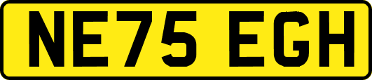 NE75EGH