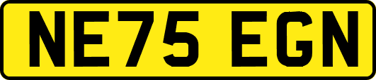 NE75EGN