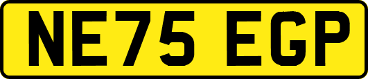 NE75EGP
