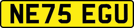 NE75EGU