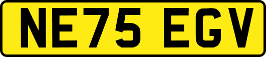 NE75EGV