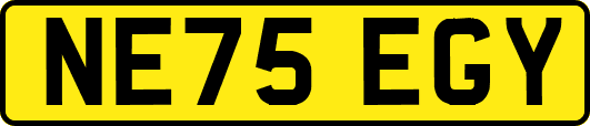 NE75EGY