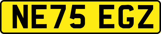 NE75EGZ
