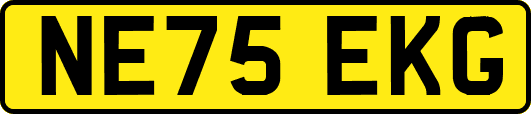 NE75EKG