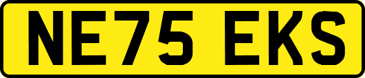 NE75EKS