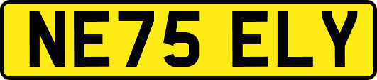 NE75ELY