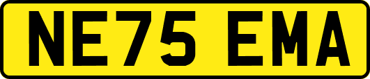 NE75EMA