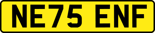 NE75ENF