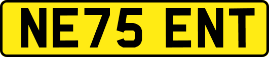 NE75ENT