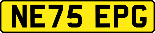 NE75EPG