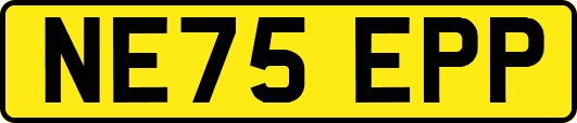 NE75EPP