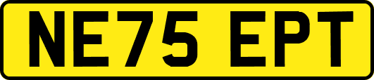 NE75EPT
