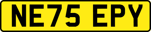 NE75EPY