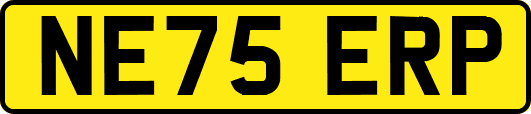 NE75ERP