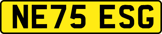 NE75ESG