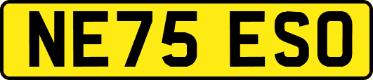 NE75ESO