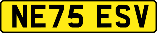 NE75ESV