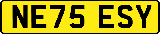 NE75ESY