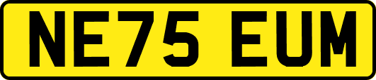 NE75EUM