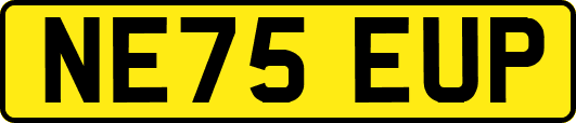 NE75EUP