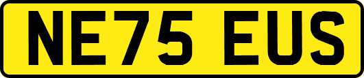 NE75EUS