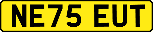 NE75EUT