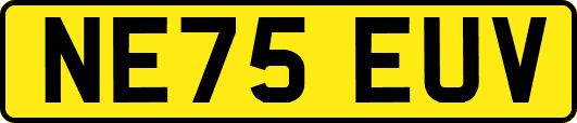 NE75EUV
