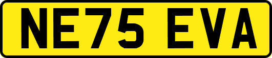 NE75EVA
