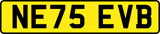 NE75EVB