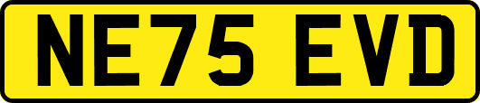 NE75EVD