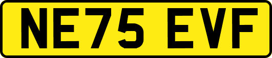 NE75EVF