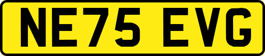 NE75EVG