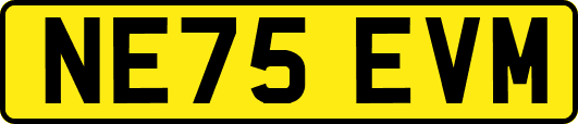 NE75EVM