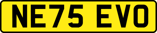 NE75EVO