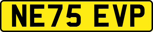 NE75EVP