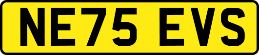 NE75EVS