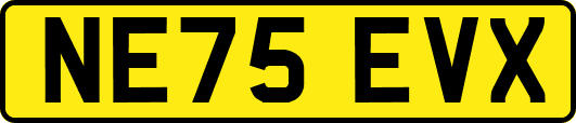 NE75EVX